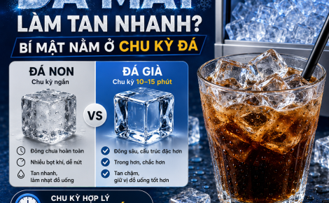 Tại sao đá máy làm tan nhanh? Bí mật ở chu kỳ đá