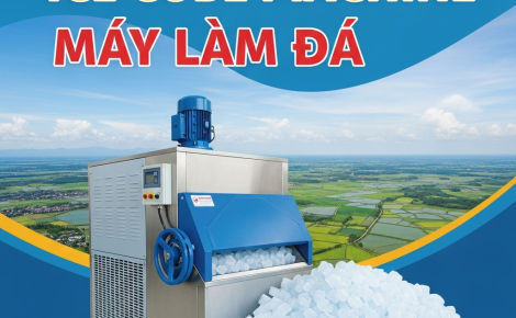 Máy Làm Đá Long An – Giải Pháp Cung Cấp Đá Viên Sạch, Nhanh Chóng Và Tiết Kiệm