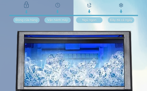 🧊 Máy làm đá ASIMA. Tại sao nước đá tinh khiết quan trọng cho sức khỏe?